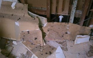 mold remediation in albany ny needs mold remediation professionals