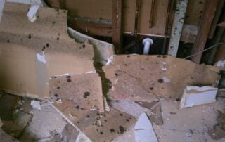 Mold Remediation services in Albany, NY for mold in your home or business