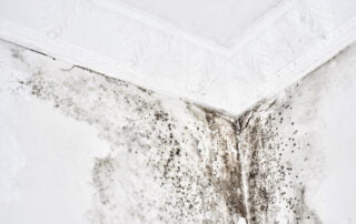 mold exposure shown in corner of wall and ceiling in home