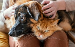 close up of pet owners protecting pets from home fires