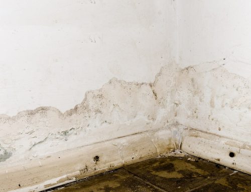 The Dangers of Ignoring Water Damage in Your Home